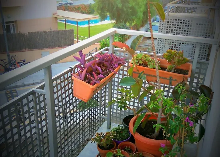 Appartement A 5 Minutos Del Centro Y Playa